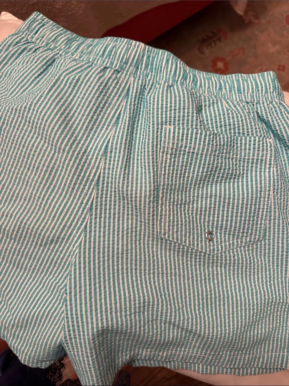 Zara Striped Teal Seersucker Drawstring Mens bathing suit